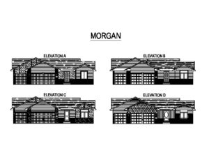 Morgan elevation